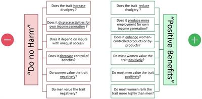 A gendered assessment of crop traits to improve breeding product design and uptake: the case of potato in Kenya